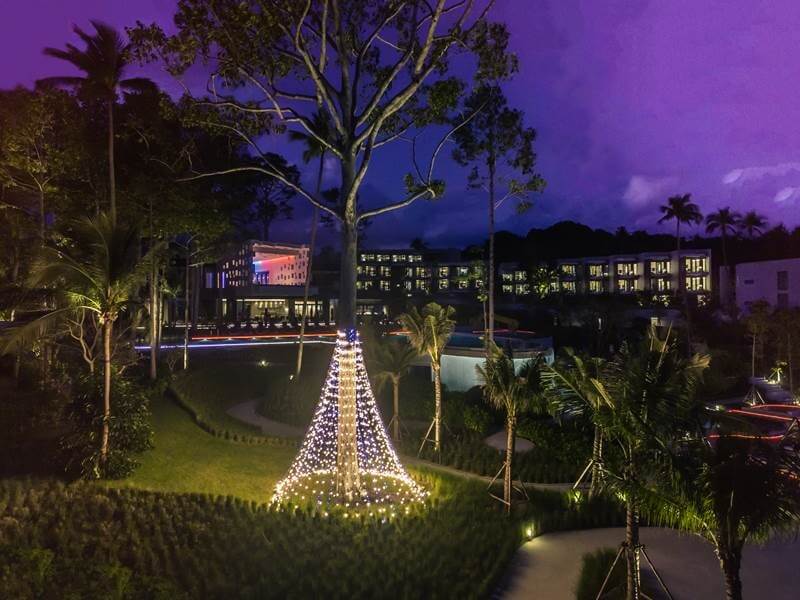 The tallest of the resort’s resident yang na trees will be site for a festive tree lighting ceremony