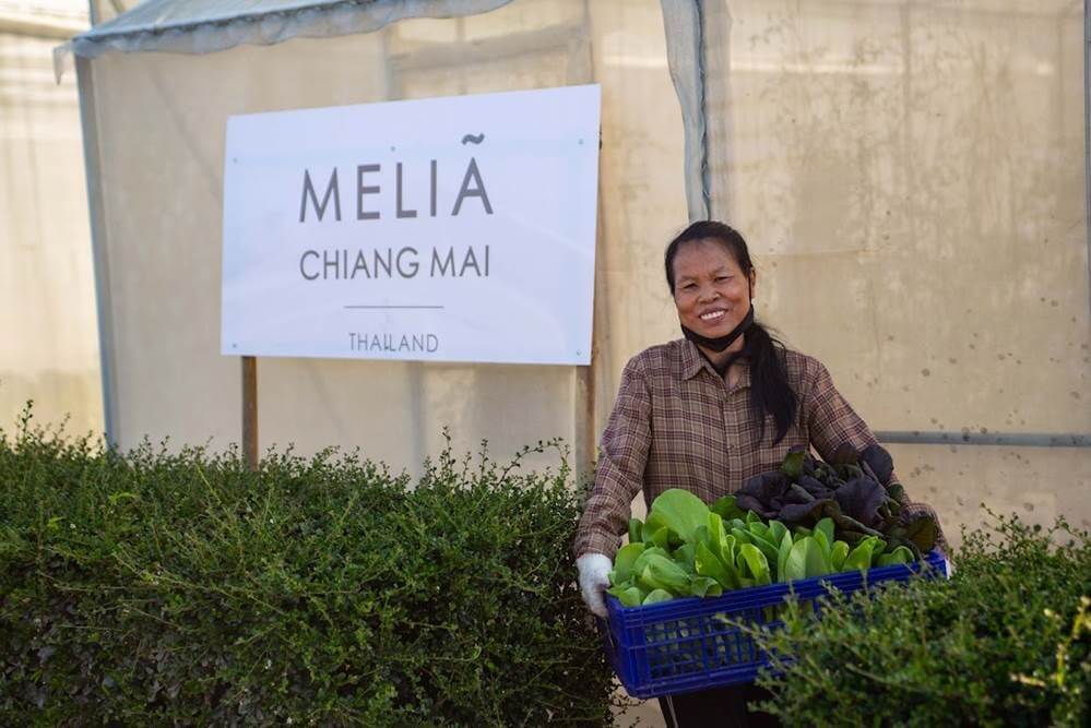 Meliá Chiang Mai has partnered with ORI9IN The Gourmet Farm, a nearby organic farm, to grow an array of fruits, vegetables and herbs