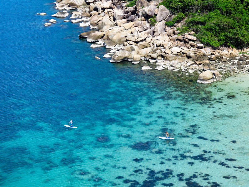 Tourists may inadvertently kill coral by brushing against or standing on a reef