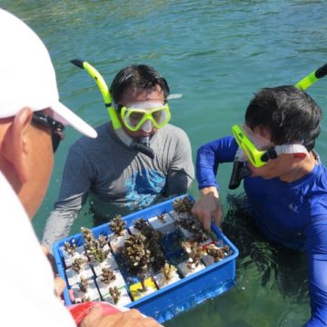 Banyan Tree Samui's CSR team re-attach corals to blocks which are then replaced in the resort's private coral reef
