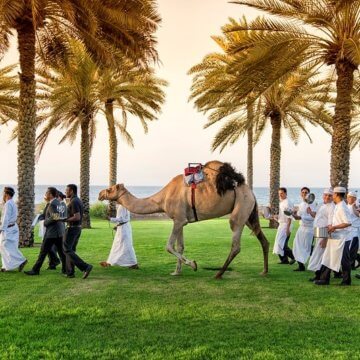 Camels Lead Diners on Culinary Journey through Chedi Muscat