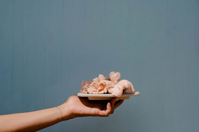 Grassroots Pantry's Pink Oyster Mushrooms