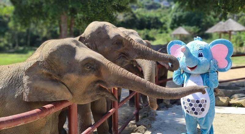 To educate guests about the plight of rescued elephants and encourage them to visit and support Samui Elephant Haven, Meliá Koh Samui has unveiled an elephant mascot Coco to provide information about the Haven and as a host for educational activities about the elephants at the resort's kids club 'Kidsdom'.