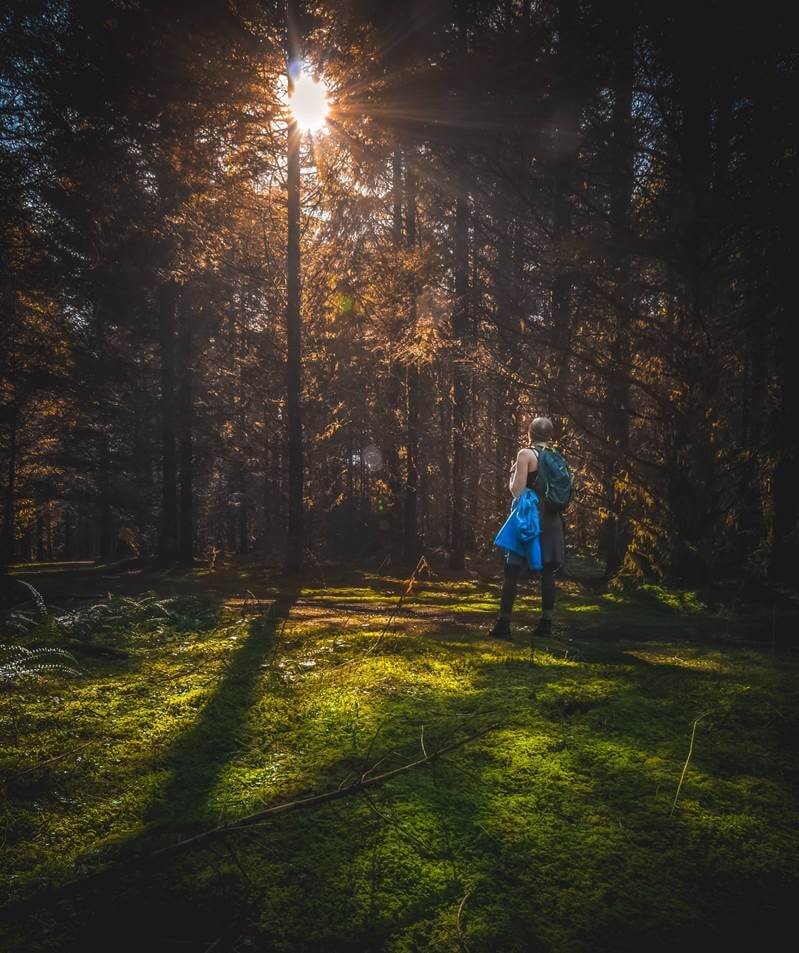 A forest bather reaps the rewards