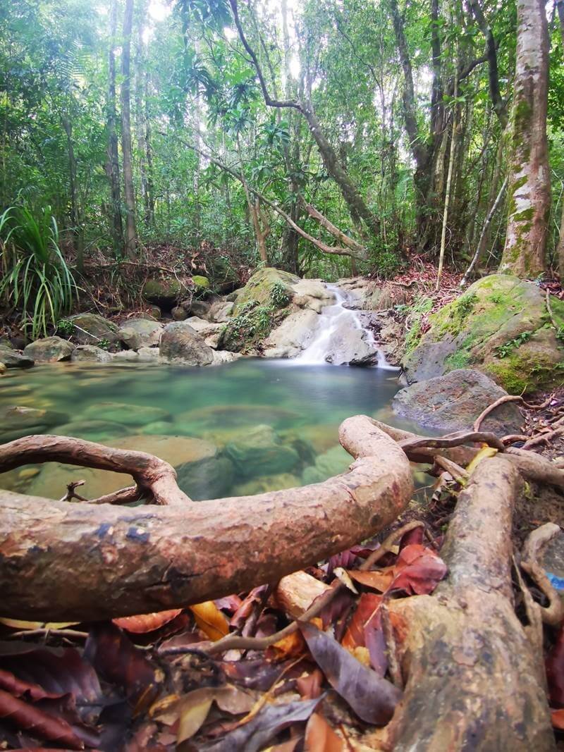 The forest in Khao Ngon Nak National Park is a labyrinth of streams, waterfalls, plants and wildlife.