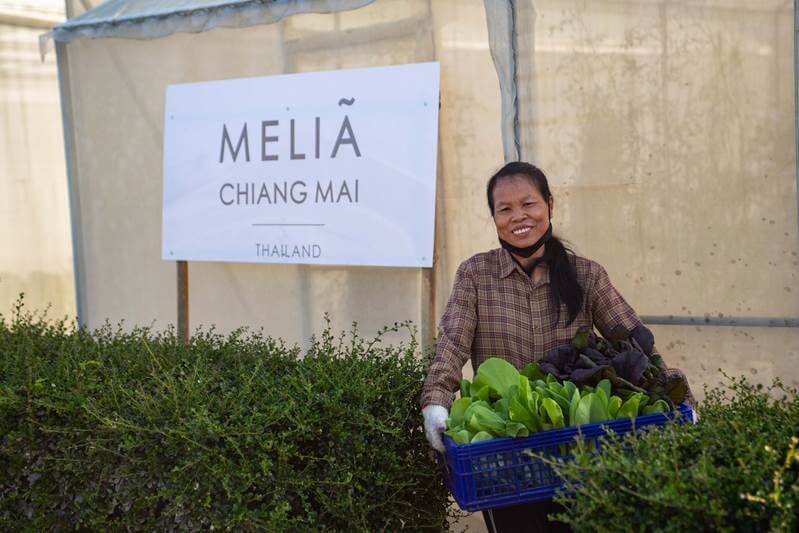 Meliá Chiang Mai recently partnered with ORI9IN The Gourmet Farm, a 250-acre gourmet organic farm located in nearby San Sai District, to grow an array of fruits, vegetables and herbs on a two-acre plot on the broader ORI9IN property for its restaurants, bars and spa.