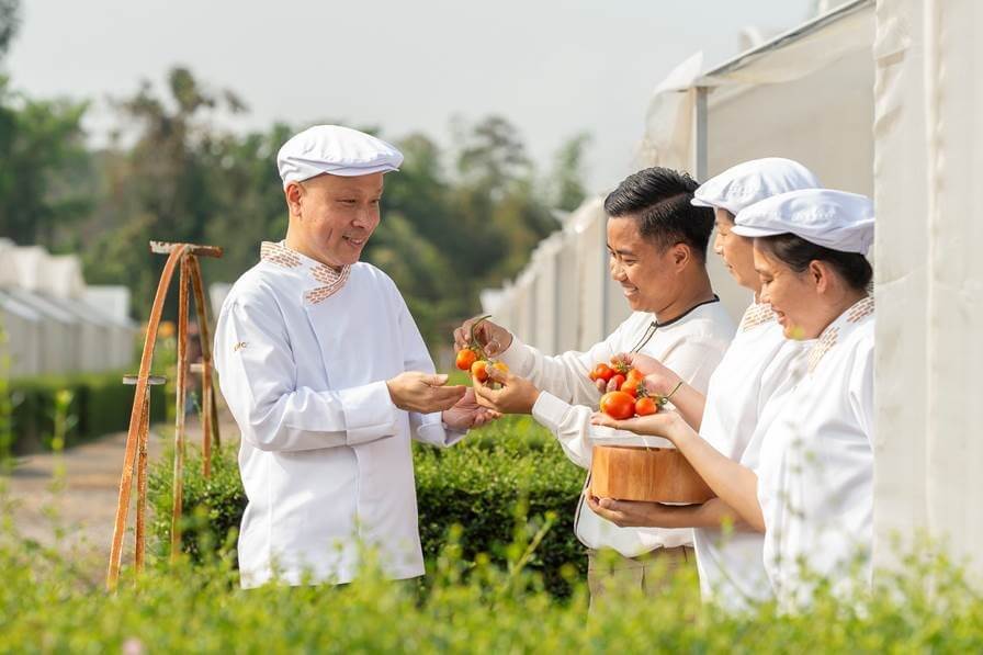 Meliá Chiang Mai is ushering guests onto a nearby 250-acre gourmet organic farm, to meet local farmers and learn more about sustainable farming and healthier eating, as part of its A Journey to the Farm Package.