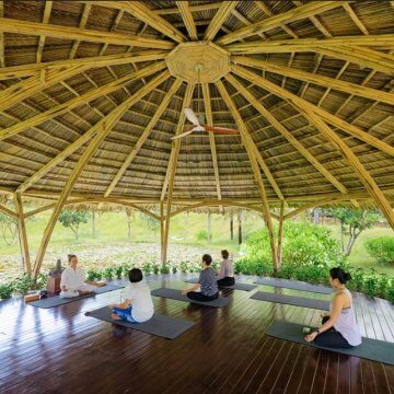 Fusion Unveils Holistic Pursuits for Global Wellness Day