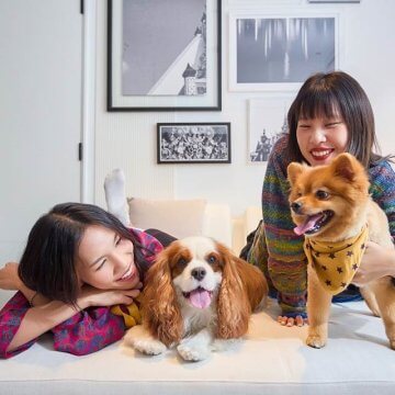 The 208-room hotel, which debuted in July 2023 in the heart of Bangkok’s lively On Nut neighborhood, is rolling out the welcome mat for pet dogs. A welcome card, welcome bag of snacks, pet bed, bowls for food and water, and doggie bags for waste collection are among the hotel’s host of pet amenities.