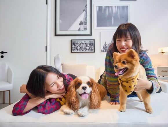 The 208-room hotel, which debuted in July 2023 in the heart of Bangkok’s lively On Nut neighborhood, is rolling out the welcome mat for pet dogs. A welcome card, welcome bag of snacks, pet bed, bowls for food and water, and doggie bags for waste collection are among the hotel’s host of pet amenities.