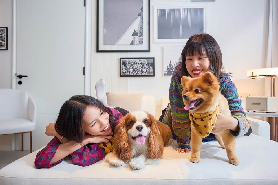 The 208-room hotel, which debuted in July 2023 in the heart of Bangkok’s lively On Nut neighborhood, is rolling out the welcome mat for pet dogs. A welcome card, welcome bag of snacks, pet bed, bowls for food and water, and doggie bags for waste collection are among the hotel’s host of pet amenities.