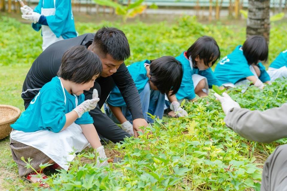 Having fun in the vegetable garden