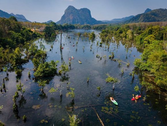 Film location for the exciting penultimate scene in Jurassic World Rebirth, Klong Root is a wonderland of mangrove forests and crystal-clear waters.