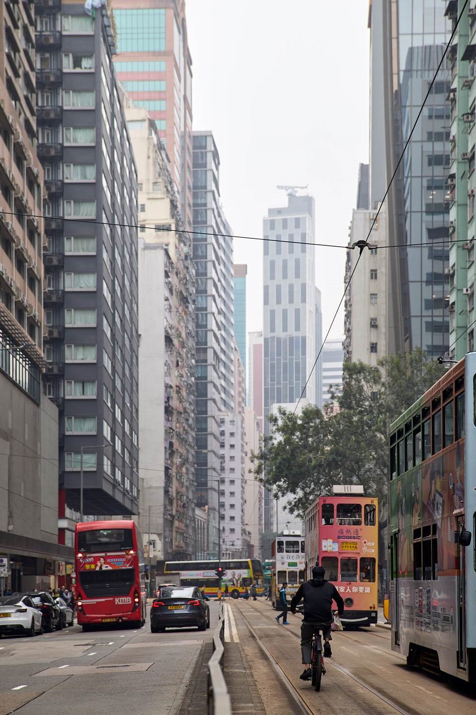 The roughly 2.5-hour experience, on offer from 5pm, imparts the history and stories of Wan Chai and neighbouring Causeway Bay as well as fascinating insights into Hong Kong’s Feng Shui